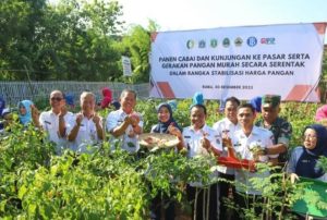 PJ Gubernur Heru Budi Hartono dan Walikota Ali Maulana Hakim Panen Raya Cabai Serentak