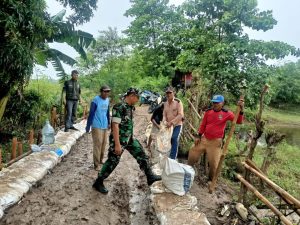 Agar Mudah Di Lintasi Warga Babinsa Memperbaiki Jalan Lingkungan