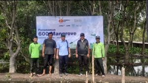 Apical Grup Wujudkan Penanaman 600 Mangrove di Hutan Kota Rorotan Bagian Penanaman 5.600 Mangrove di Jakarta Utara
