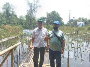 Apical Grup Wujudkan Penanaman 5.000 Mangrove di Blok Elang Laut Pantai Indah Kapuk Bagian Penanaman 5.600 Mangrove di Jakarta Utara