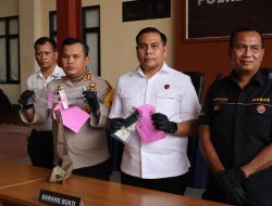 Polsek Metro Tanah Abang Ringkus 2 Pelaku Pencuri Motor di Depan Rumah Makan