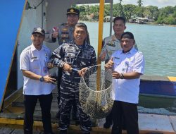 Lanal Bintan Ikuti Panen Raya Ketahanan Pangan dan Bakti Sosial TNI AL Secara Serentak