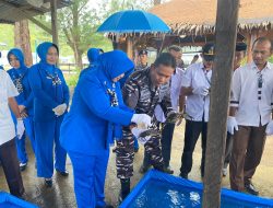 Lanal Simeulue Laksanakan Panen Kepiting Program Ketahanan Pangan TNI Angkatan Laut Tahun 2024