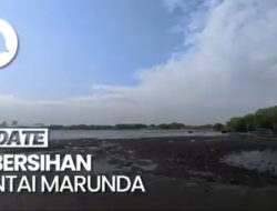 Melihat Pantai Marunda di Jakarta Utara yang Kian Bersih