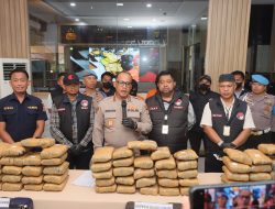 Polres Metro Jakarta Utara Gagalkan Peredaran 77 kg Ganja