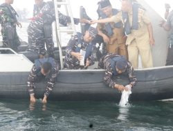 F1QR TNI AL GAGALKAN PENYELUNDUPAN BABY LOBSTER DI BENGKULU