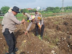 Jaga Ketahanan Pangan Polsek Metro Tanah Abang Lakukan Penanaman Jagung Di Bantaran Kali Ciliwung