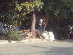 Warga Mendambakan HIT. Hijau Indah Tertib .Bukan Lahan Fasilitas Umum Dijadikan Tumpukan Limbah Kayu Sabtu – 4 Januari 2025