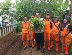 Bhabinkamtibmas Kelurahan Pademangan Timur, Panen Kangkung Bersama PPSU