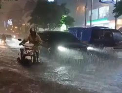 Plt. SDA Jakarta Ika Agustin Ningrum, Dinilai lambat dan Gagal menanggulangi banjir Jakart