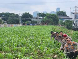 Klaim Dukung Prabowo, Polisi Sampai Tanam Jagung di Bantaran Kali Ciliwung , pada Jumat 14 February 2025