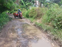 Desa Pantai Bahagia Kecamatan Muaragembong, Jalannya rusak Parah!