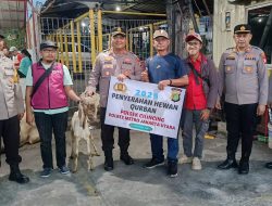 Polsek Cilincing Salurkan Hewan Kurban untuk Warga Sekitar