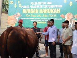 Polres Pelabuhan Tanjung Priok Gelar Penyembelihan Dan Penyerahan Hewan Qurban Idul Adha 1446 H dengan Semangat Keikhlasan dan Kepedulian