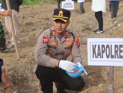 68,3 Hektar Lahan disiapkan Polres Bangka Barat dan Pemerintah Kabupaten Untuk Penanaman Jagung