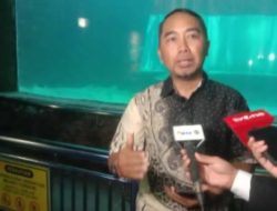 Ancol Meriahkan HUT RI ke-80: Panjat Pinang di Pantai hingga Inovasi Event Tahunan