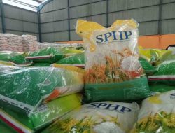 Harga Beras Mahal,Stok Melimpah