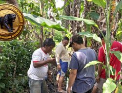 Kerja Bakti Warga Dusun 03 Rt 002 / RW 006 Desa Sutawangi, Bersihkan Dan Memperbaiki SPAL Rumah Tangga