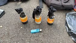 *Bawa Botol Bersumbu Bakar Saat Unras, Satu Orang Ditetapkan Tersangka oleh Polda Metro Jaya*